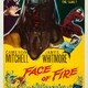 photo du film Face of Fire