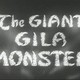 photo du film The Giant Gila Monster