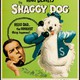 photo du film Quelle vie de chien