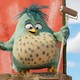 photo du film Angry Birds : copains comme cochons