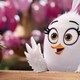 photo du film Angry Birds : copains comme cochons