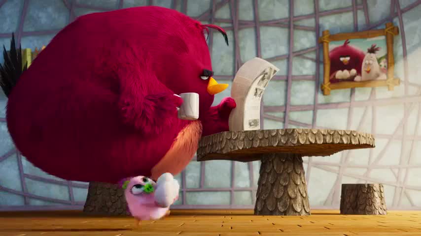 Extrait vidéo du film  Angry Birds : copains comme cochons