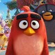 photo du film Angry Birds : copains comme cochons