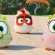 photo du film Angry Birds : copains comme cochons