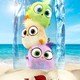 photo du film Angry Birds : copains comme cochons