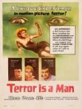 voir la fiche complète du film : Terror Is a Man