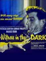 Witness In The Dark