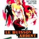 photo du film Le Buisson ardent