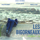 photo du film Les Bigorneaux