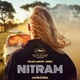 photo du film Nitram