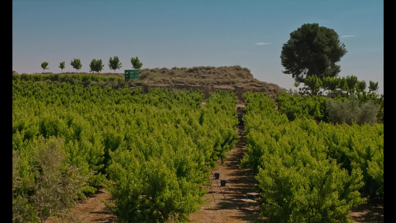 Extrait vidéo du film  Nos Soleils