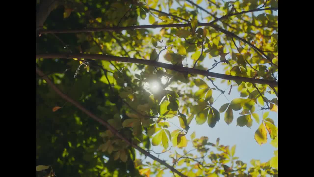 Extrait vidéo du film  Ma nuit