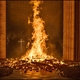 photo du film Notre-Dame brûle