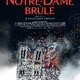 photo du film Notre-Dame brûle