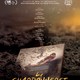 photo du film Le Chardonneret