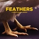 photo du film Plumes