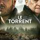 photo du film Le torrent