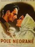 voir la fiche complète du film : Pole neorané