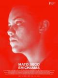 voir la fiche complète du film : Dry Ground Burning (Mato Seco em Chamas)