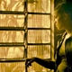 photo du film Dry Ground Burning (Mato Seco em Chamas)
