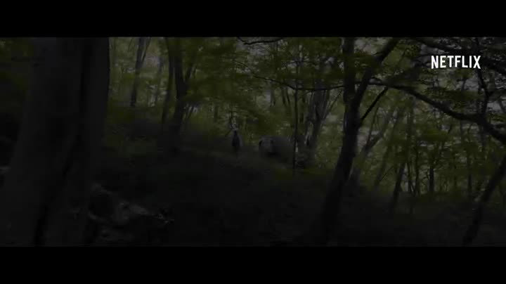 Un extrait du film  Okja