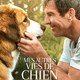 photo du film Mes autres vies de chien