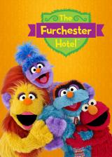 The furchester hotel
