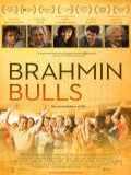 voir la fiche complète du film : Brahmin Bulls