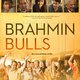 photo du film Brahmin Bulls