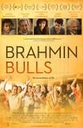 Brahmin Bulls