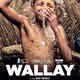 photo du film Wallay