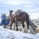 photo du film Patagonia, el invierno