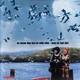 photo du film Bye Bye Blue Bird
