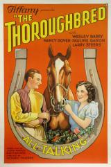 voir la fiche complète du film : The Thoroughbred