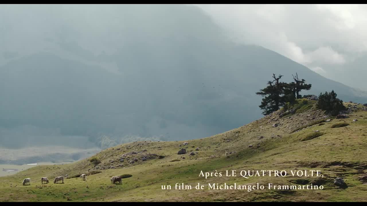 Extrait vidéo du film  Il buco