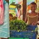 photo du film Maître Contout, mémoire de la Guyane