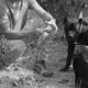 photo du film Tranchées