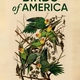 photo du film Birds of America