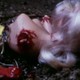 photo du film They Don't Cut the Grass Anymore