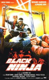 voir la fiche complète du film : Ninja : Silent Assassin