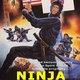 photo du film Ninja Strike Force