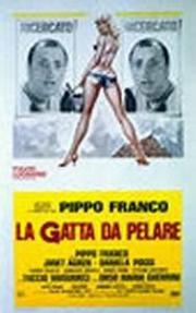 voir la fiche complète du film : La Gatta da pelare