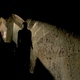 photo du film Ventura (Cavalo Dinheiro)