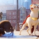 photo du film Krypto et les super-animaux