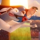 photo du film Krypto et les super-animaux