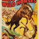 photo du film King of the Wild Horses