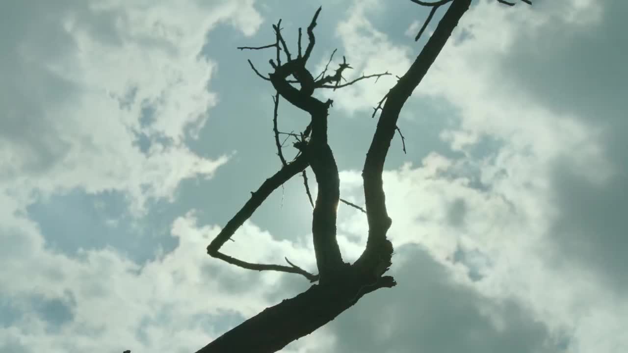 Extrait vidéo du film  Un été à Changsha