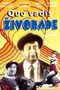 Quo vadis Zivorade