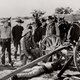 photo du film The Homesteaders