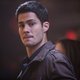 Voir les photos de Brian Hallisay sur bdfci.info